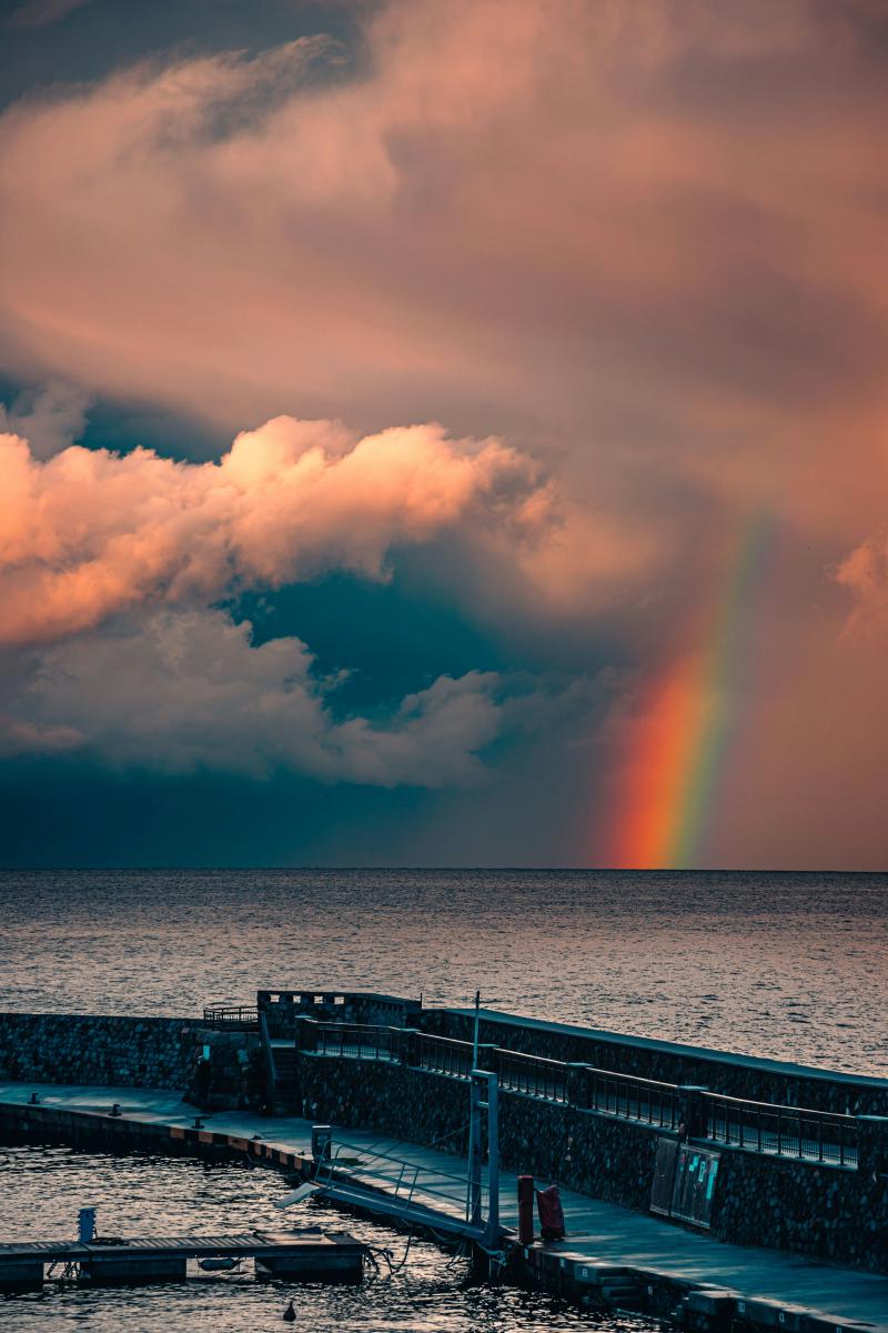 Featured image of post A wondrous reason