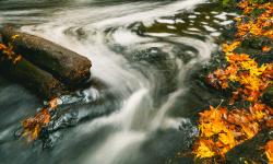 Featured image of post The dam on the river