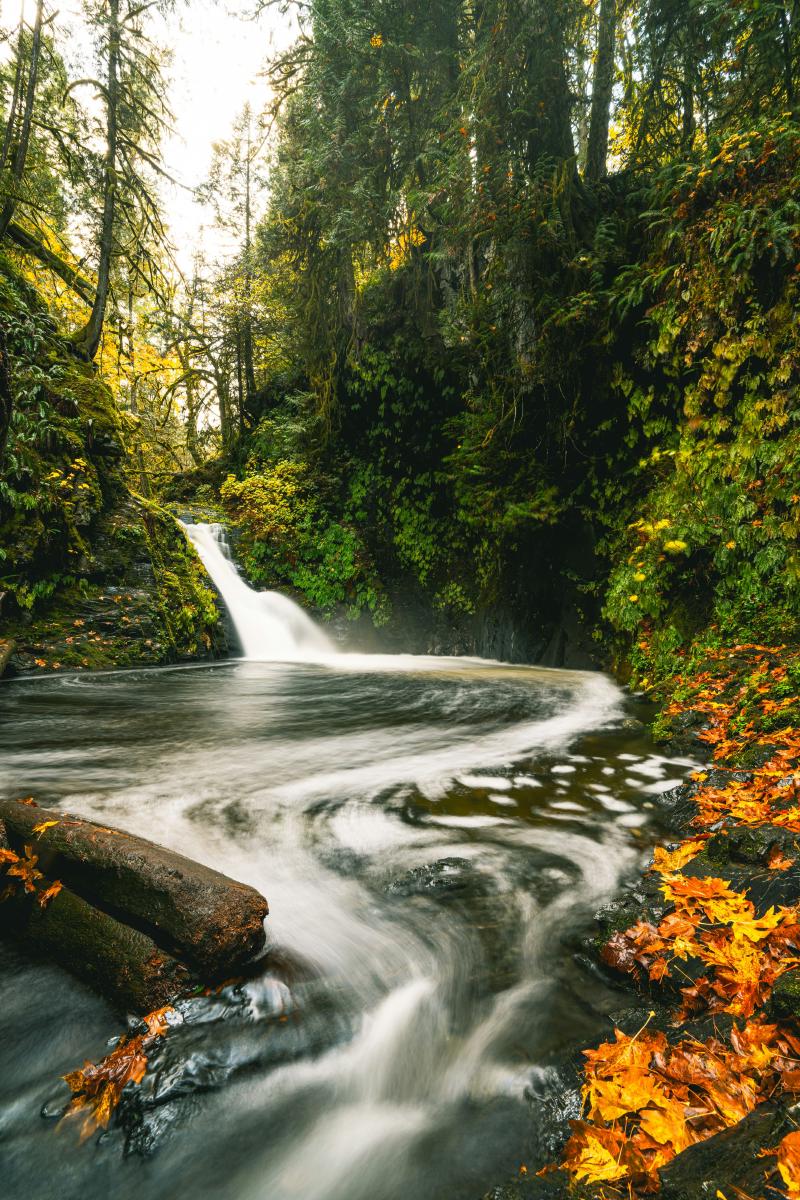 Featured image of post The dam on the river